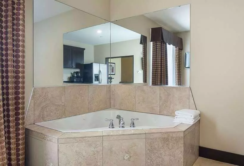 酒店 Rodeway Inn & Suites