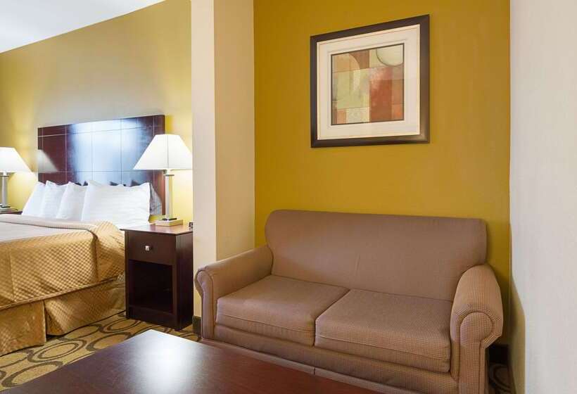 酒店 Rodeway Inn & Suites