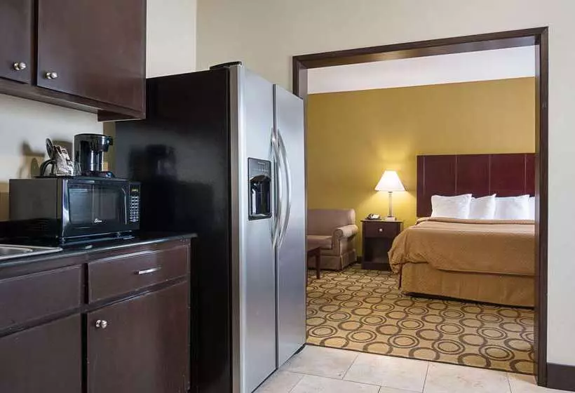 酒店 Rodeway Inn & Suites