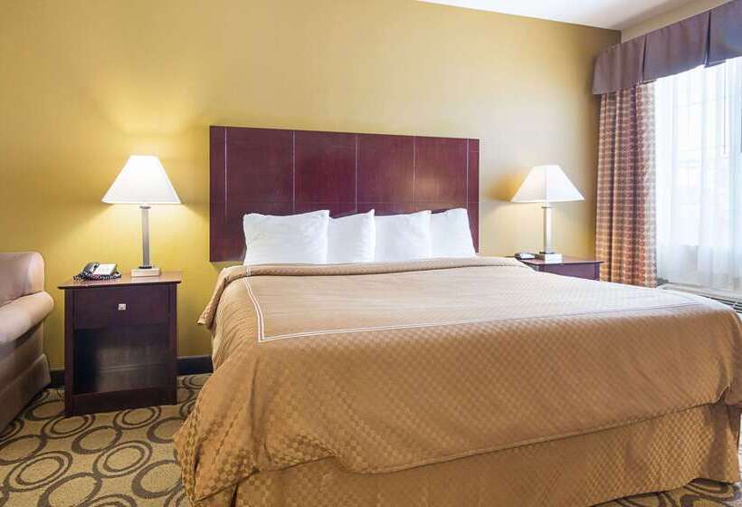 酒店 Rodeway Inn & Suites