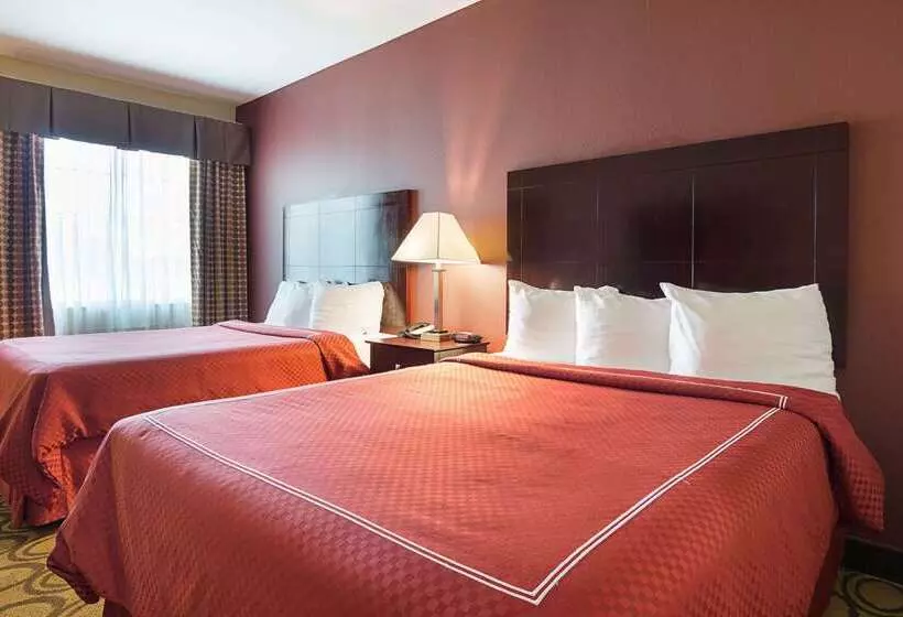 酒店 Rodeway Inn & Suites