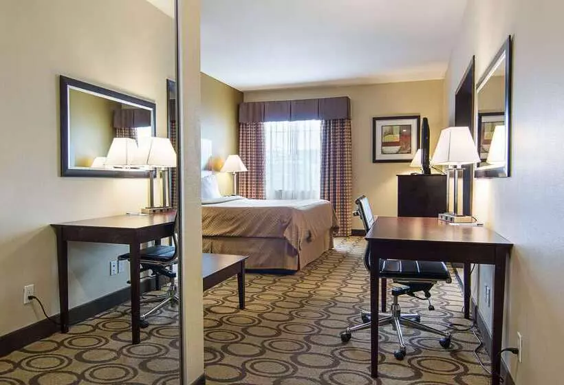 酒店 Rodeway Inn & Suites