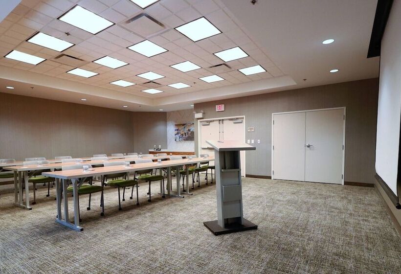 酒店 Springhill Suites By Marriott San Antonio Alamo Plaza/convention Center