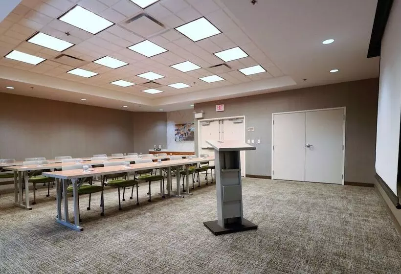 酒店 Springhill Suites By Marriott San Antonio Alamo Plaza/convention Center