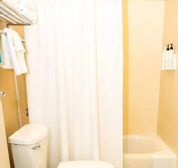 酒店 Springhill Suites By Marriott San Antonio Alamo Plaza/convention Center