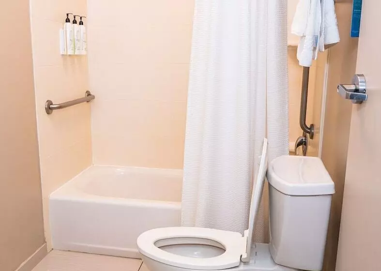 酒店 Springhill Suites By Marriott San Antonio Alamo Plaza/convention Center