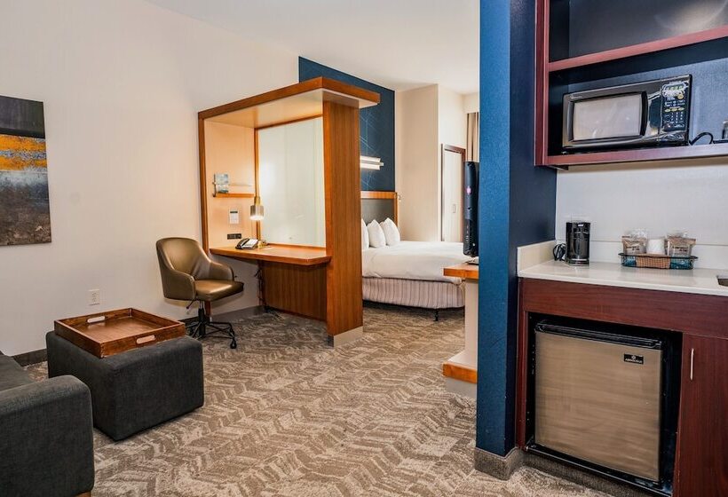 酒店 Springhill Suites By Marriott San Antonio Alamo Plaza/convention Center