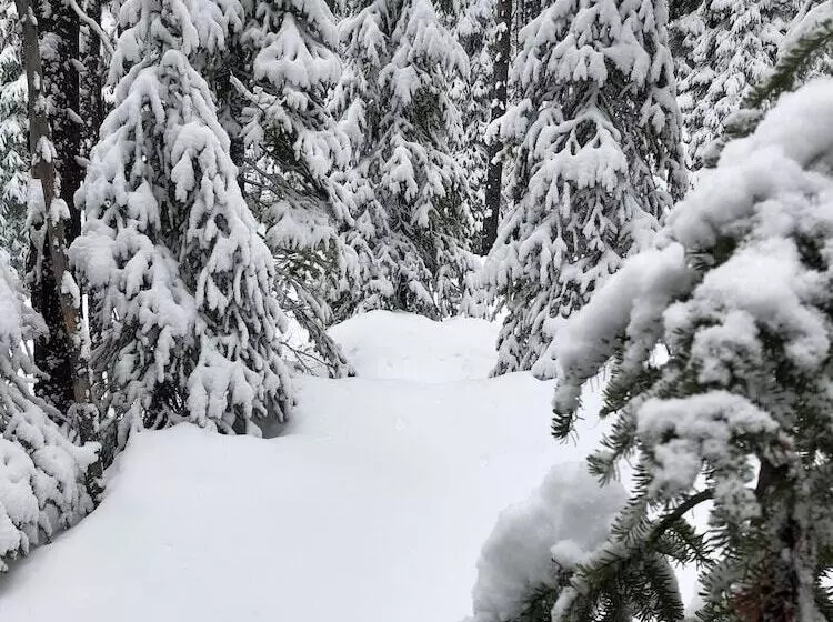 Отель The Lodge At Lolo Hot Springs