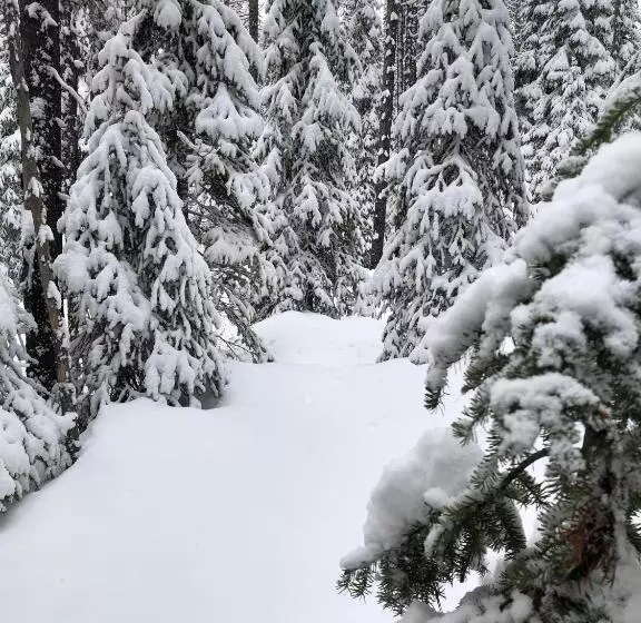 Отель The Lodge At Lolo Hot Springs