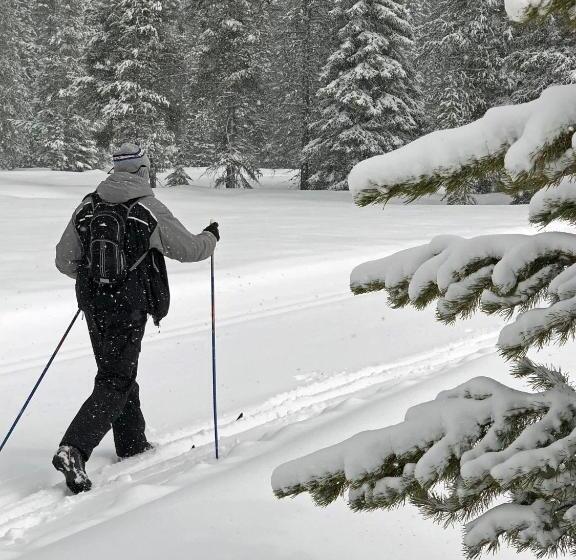 בית מלון כפרי The Lodge At Lolo Hot Springs