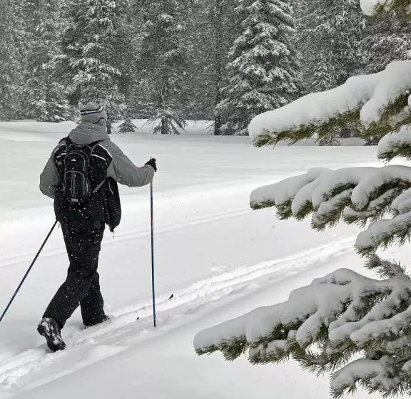 Отель The Lodge At Lolo Hot Springs