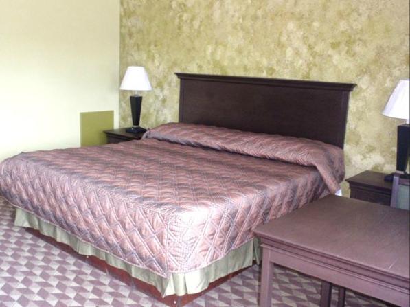 Spartan Motel - Rochester