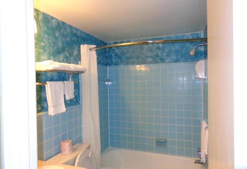 Spartan Motel - Rochester