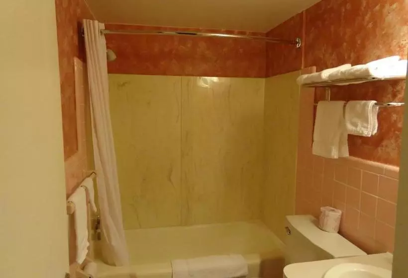 Spartan Motel - Rochester