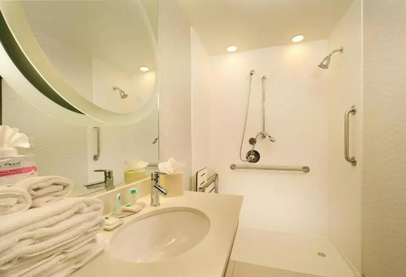 Springhill Suites By Marriott San Antonio Seaworld®/lackland