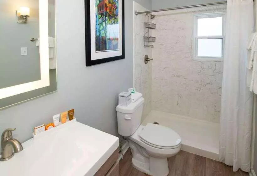 Frenchmen Orleans At 519, Ascend Hotel Collection