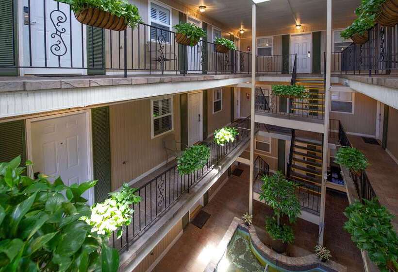 Frenchmen Orleans At 519, Ascend Hotel Collection