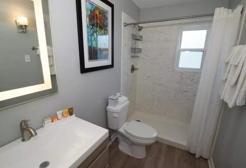 Frenchmen Orleans At 519, Ascend Hotel Collection