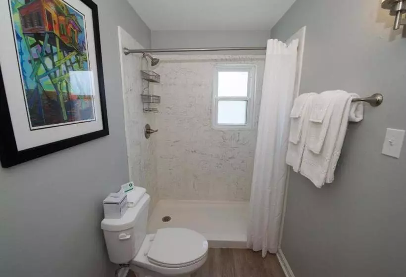 Frenchmen Orleans At 519, Ascend Hotel Collection