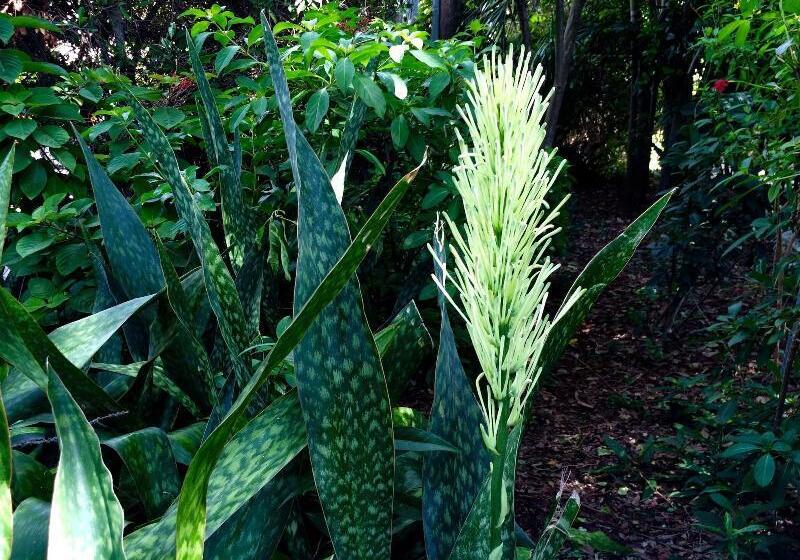 Отель Azul Del Mar