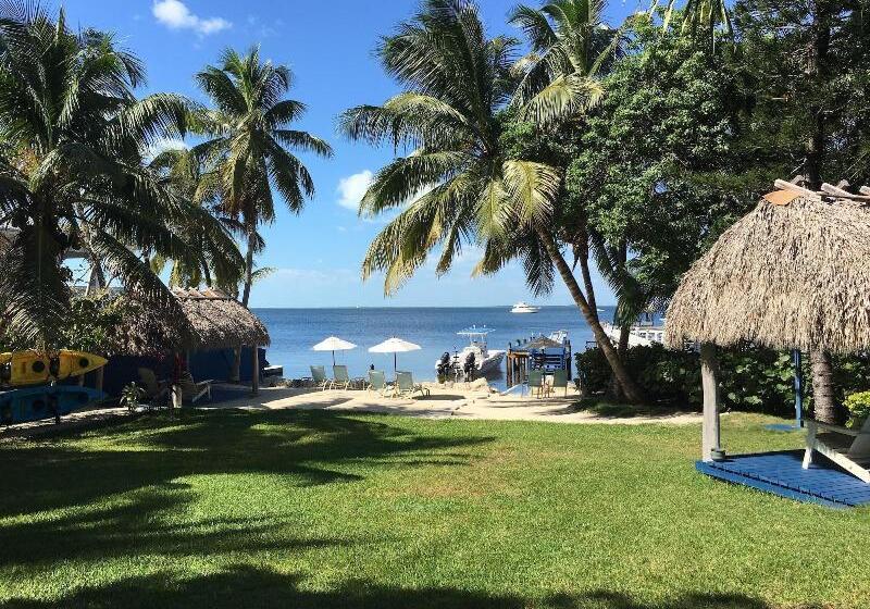 Отель Azul Del Mar