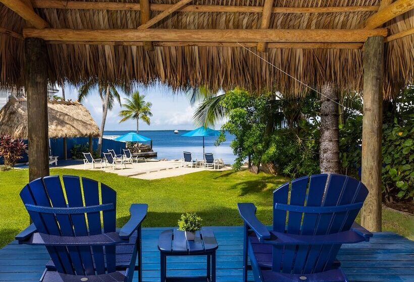 Отель Azul Del Mar