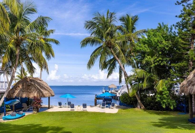 Отель Azul Del Mar