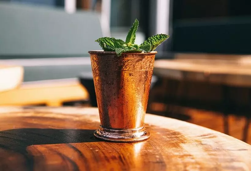 酒店 Coda Williamsburg