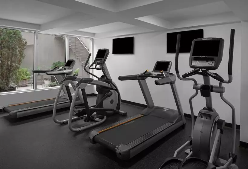 酒店 Coda Williamsburg