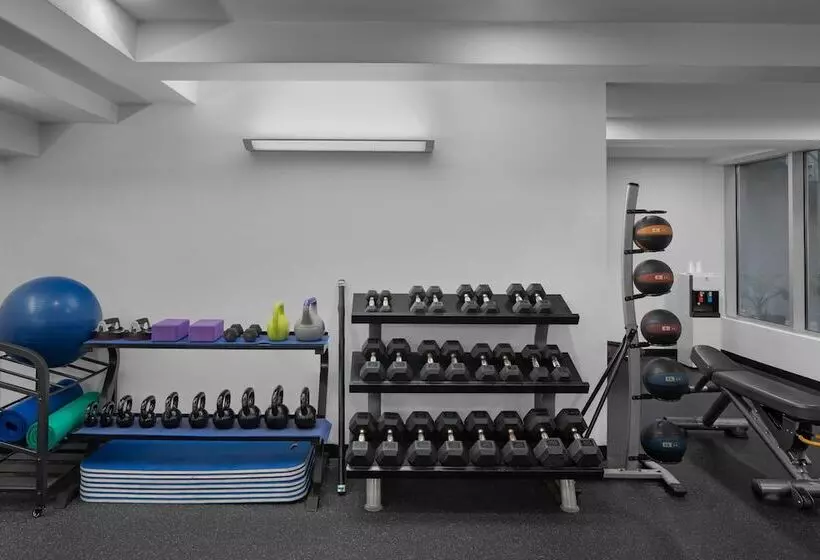 酒店 Coda Williamsburg