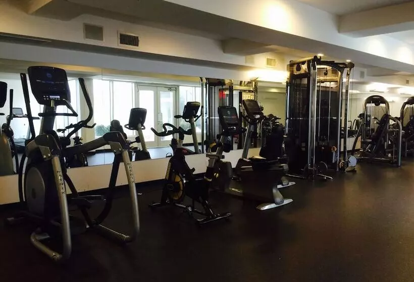 酒店 Coda Williamsburg