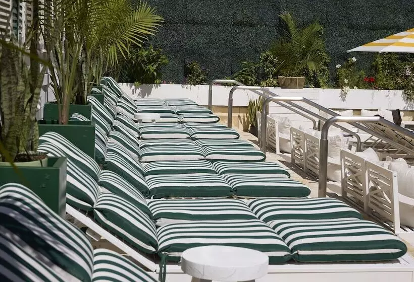 酒店 Coda Williamsburg