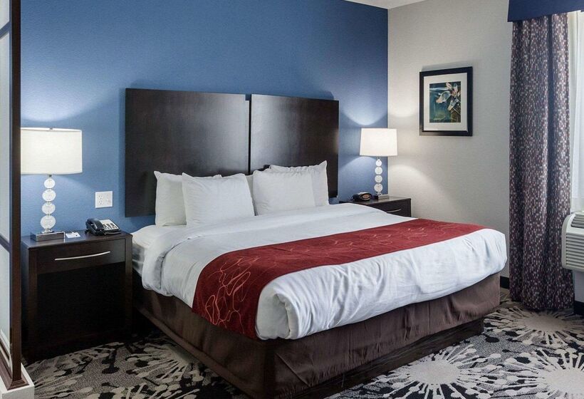 Отель Comfort Suites Greenville