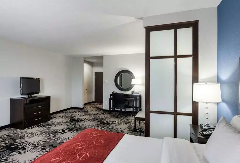 호텔 Comfort Suites Greenville