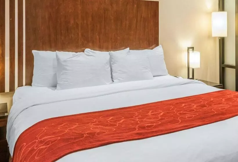 ホテル Comfort Suites