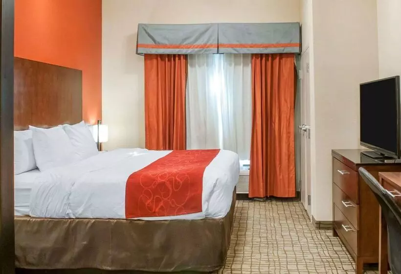 ホテル Comfort Suites