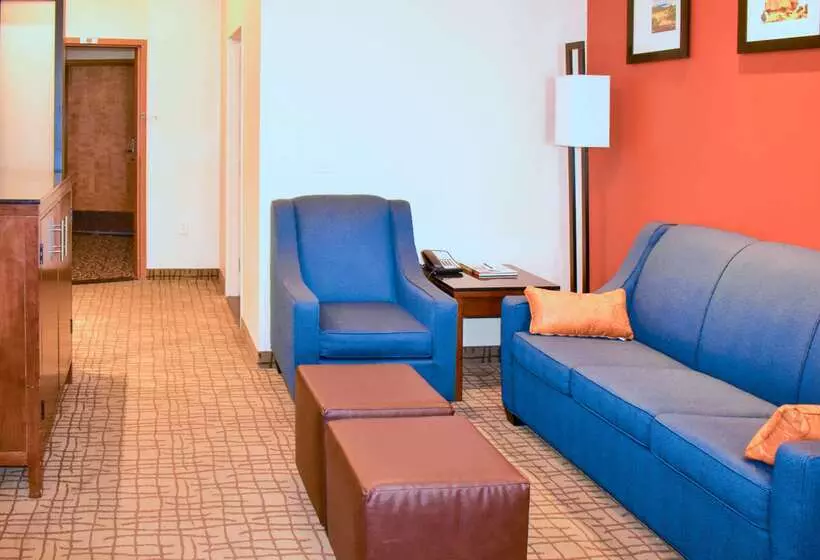 ホテル Comfort Suites
