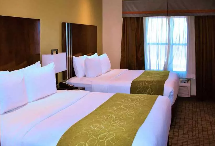 ホテル Comfort Suites
