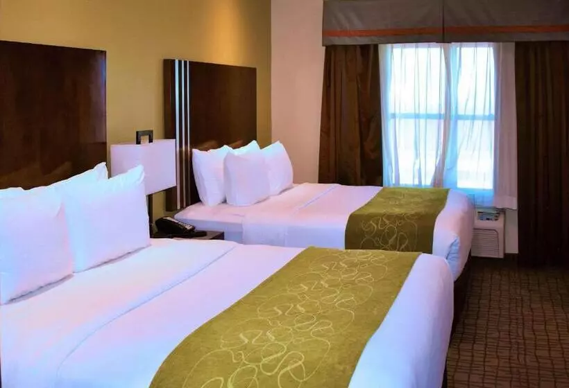 ホテル Comfort Suites