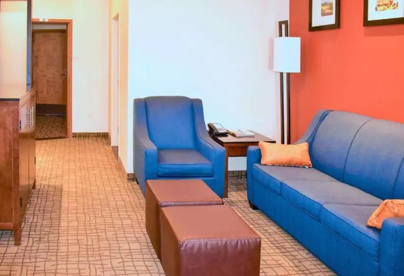 ホテル Comfort Suites