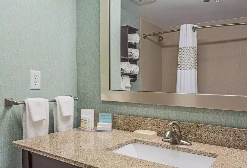 호텔 Hampton Inn Statesboro