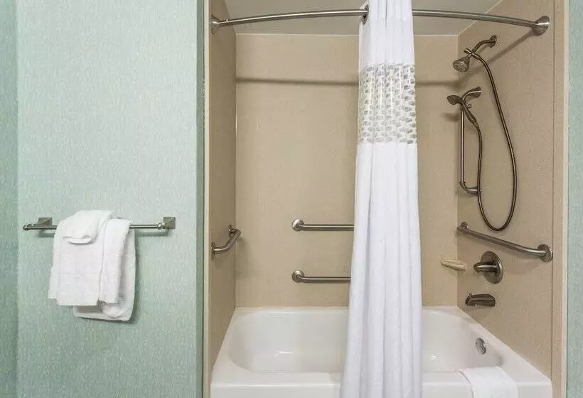 호텔 Hampton Inn Statesboro