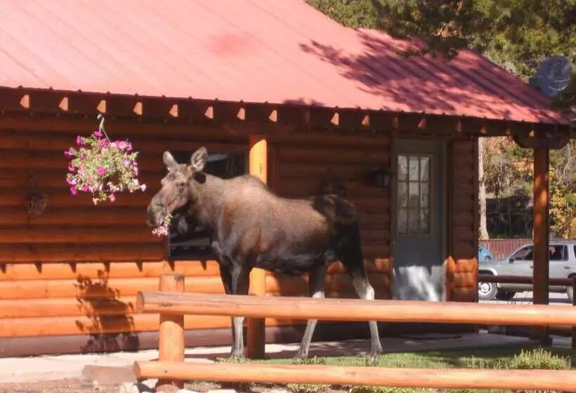 Отель Lone Eagle Lodge