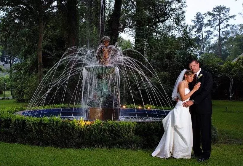 酒店 Historic Michabelle Inn