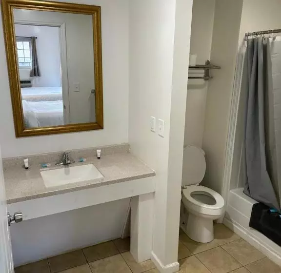 酒店 Lake View Inn