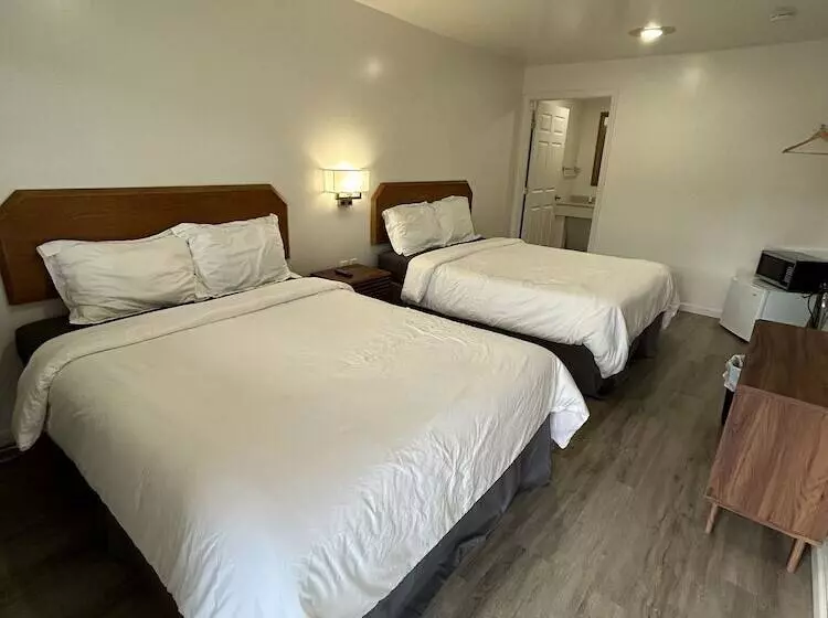 酒店 Lake View Inn