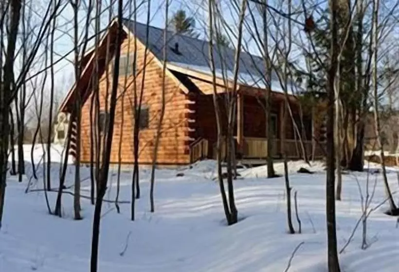 ホテル Muddy Moose