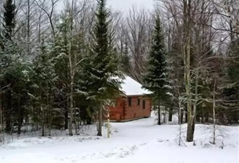 ホテル Muddy Moose