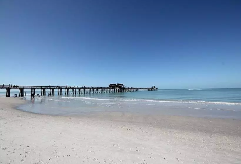 فندق Naples Park Central