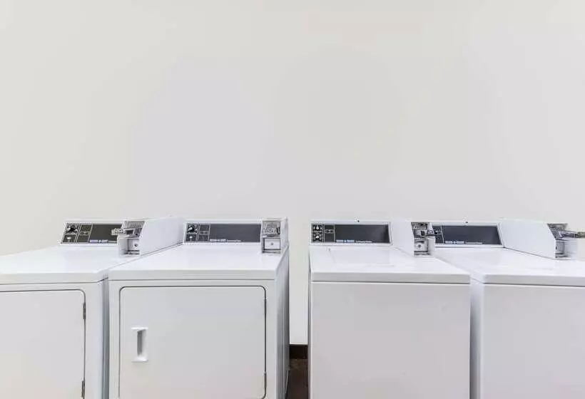 בית מלון כפרי Super 8 By Wyndham Cotulla Tx